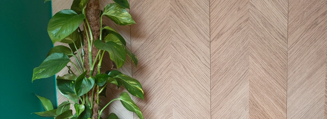 Good Place - Salon kosmetyczny Patrycji Kulig